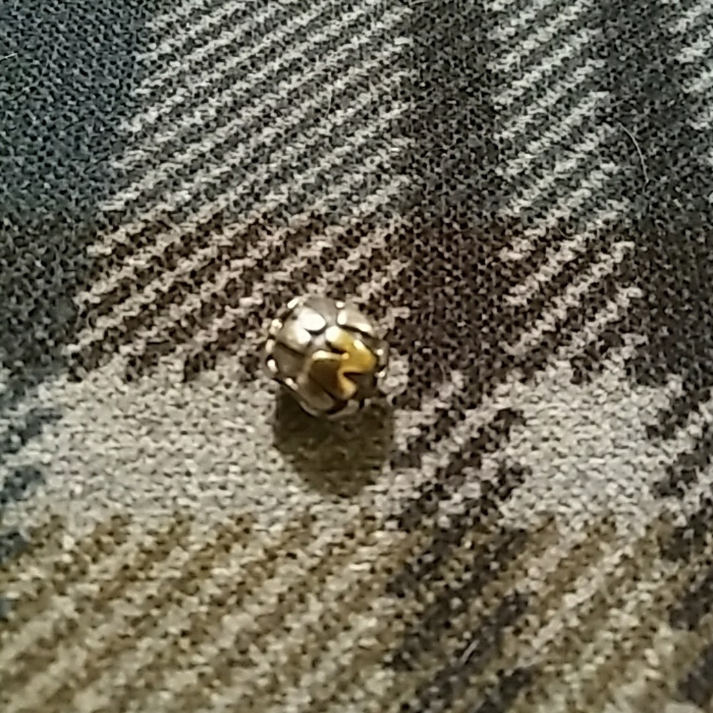 Pandora bead